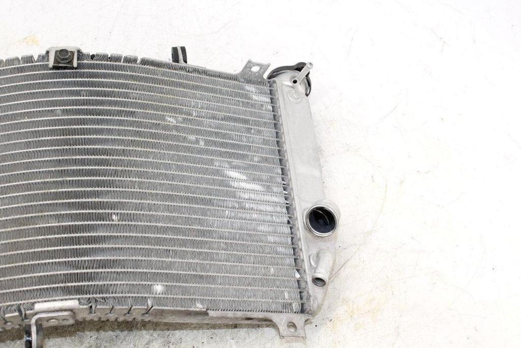 2003 Suzuki Gsxr750 Engine Radiator Motor Cooler Cooling Radiater - Gold River Motorsports