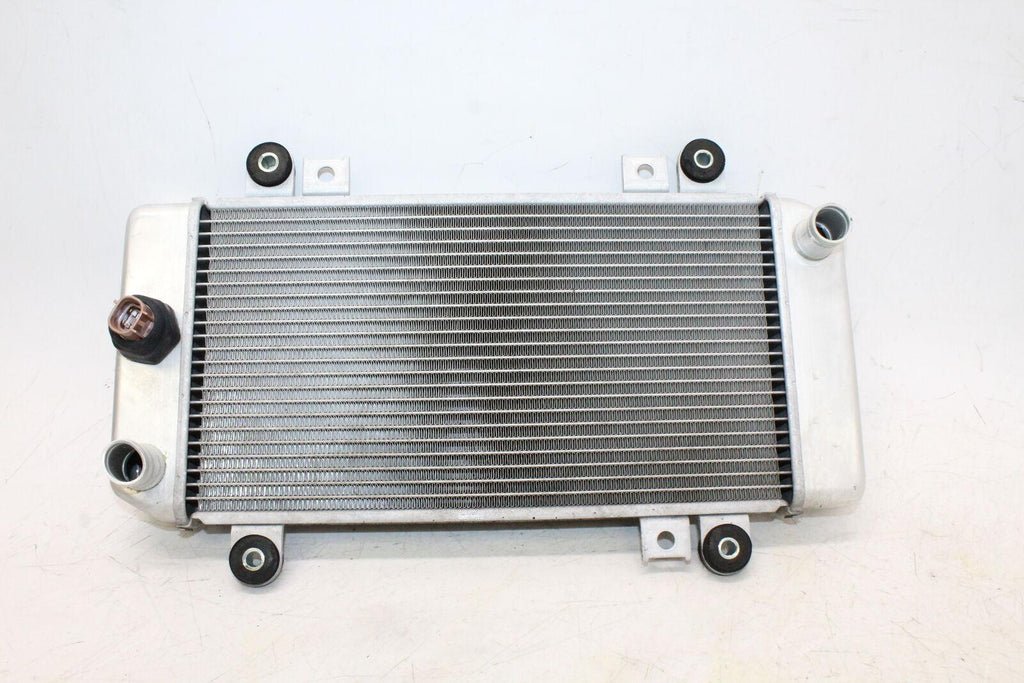 2009 Kawasaki Ninja 250R Ex250J Engine Radiator Motor Cooler Cooling Radiater - Gold River Motorsports