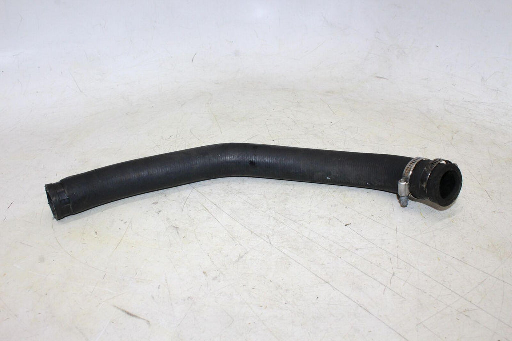 2000 Honda Cbr600F4 Hose - Gold River Motorsports