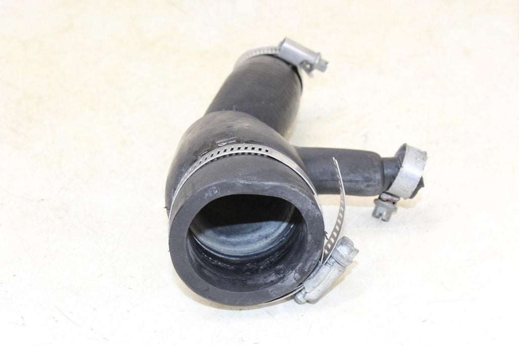 2001 Triumph Tt600 Hose - Gold River Motorsports
