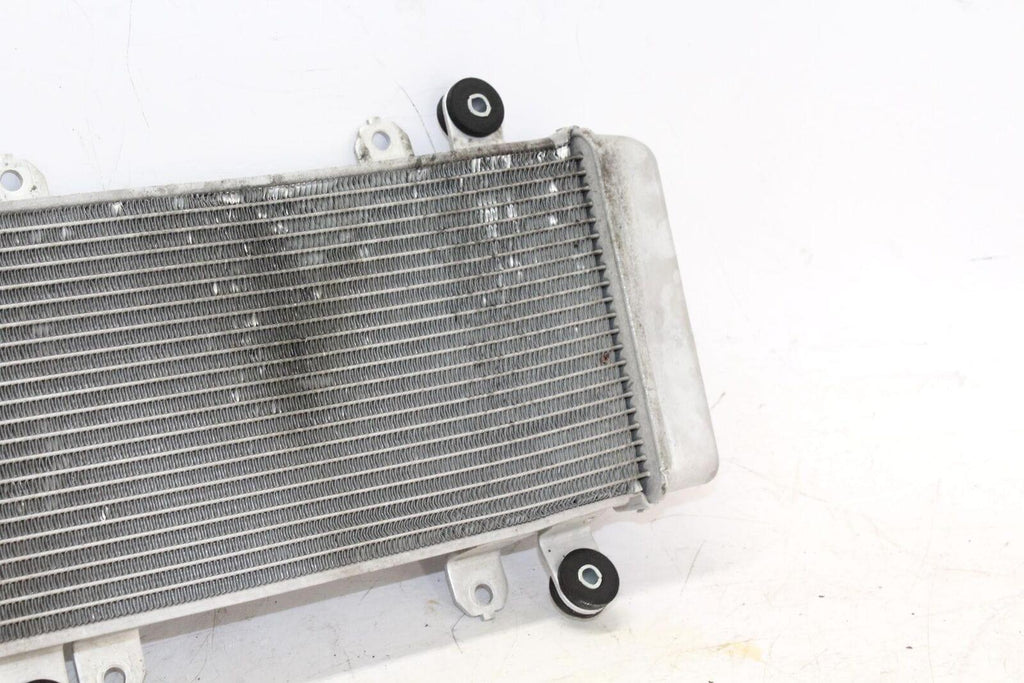 2014 Kawasaki Ninja 300 Ex300A Engine Radiator Motor Cooler Cooling Radiater - Gold River Motorsports