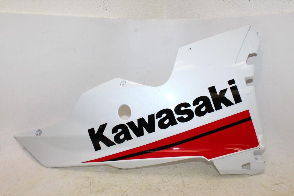 22 Kawasaki Ninja Zx-10R Right Lower Fairing Cowl Guard - Gold River Motorsports