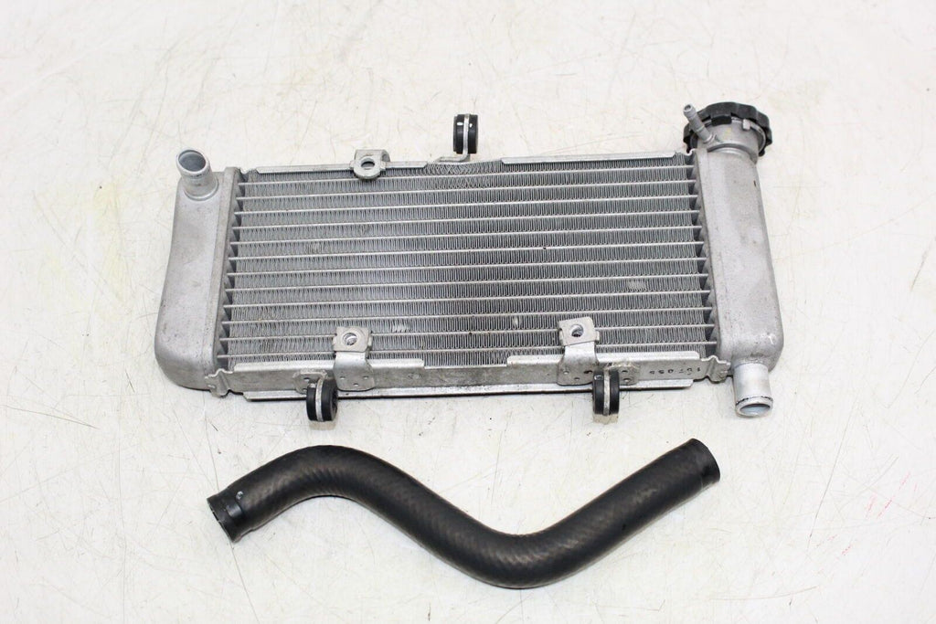 2015 Honda Cb300F Engine Radiator Motor Cooler Cooling Radiater - Gold River Motorsports