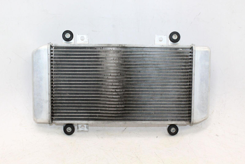 2009 Kawasaki Ninja 250R Ex250J Engine Radiator Motor Cooler Cooling Radiater - Gold River Motorsports