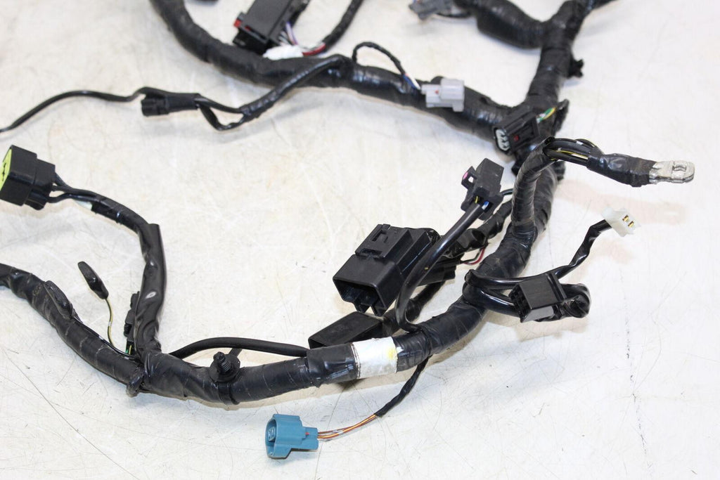 2014 Kawasaki Ninja 300 Ex300B Main Engine Wiring Harness Motor Wire Loom