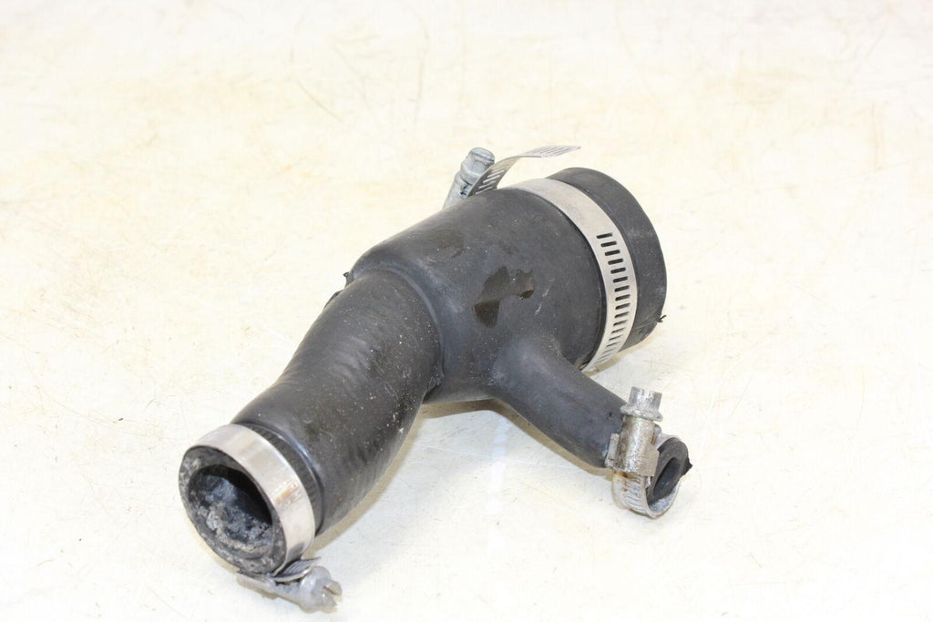 2001 Triumph Tt600 Hose - Gold River Motorsports