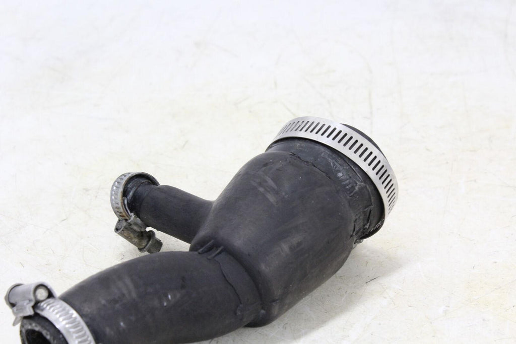 2001 Triumph Tt600 Hose - Gold River Motorsports