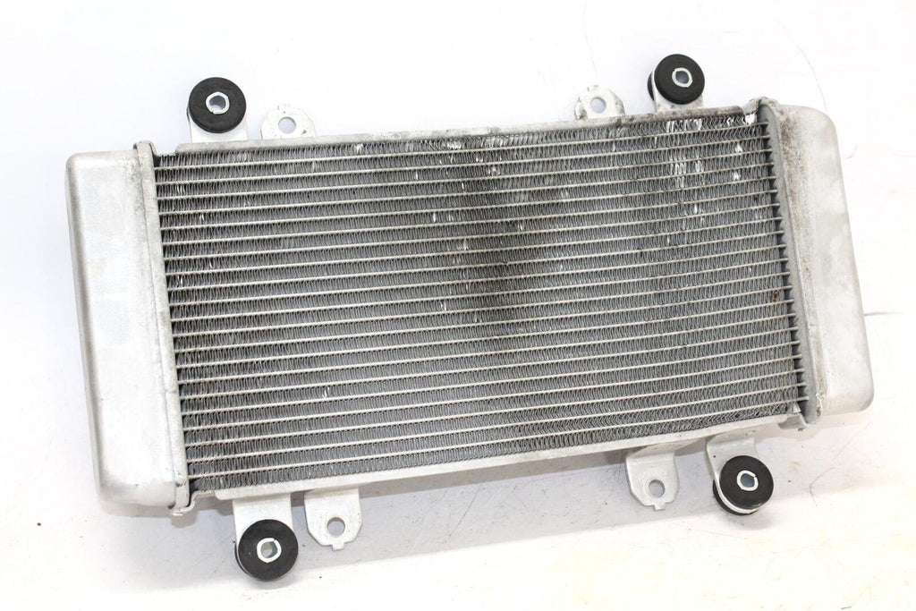 2014 Kawasaki Ninja 300 Ex300A Engine Radiator Motor Cooler Cooling Radiater - Gold River Motorsports