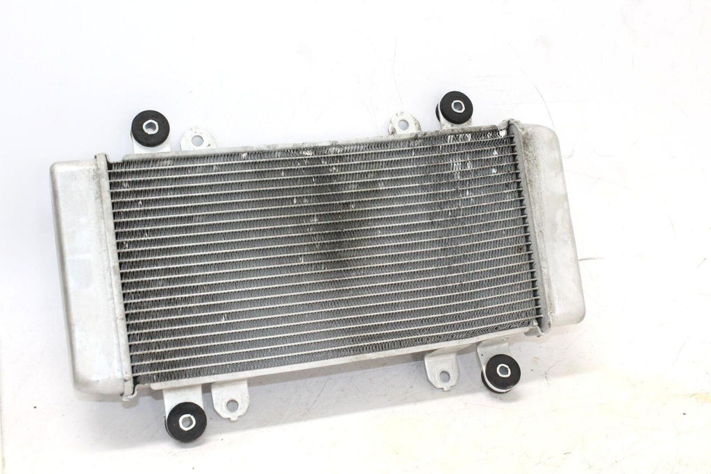 2014 Kawasaki Ninja 300 Ex300A Engine Radiator Motor Cooler Cooling Radiater - Gold River Motorsports