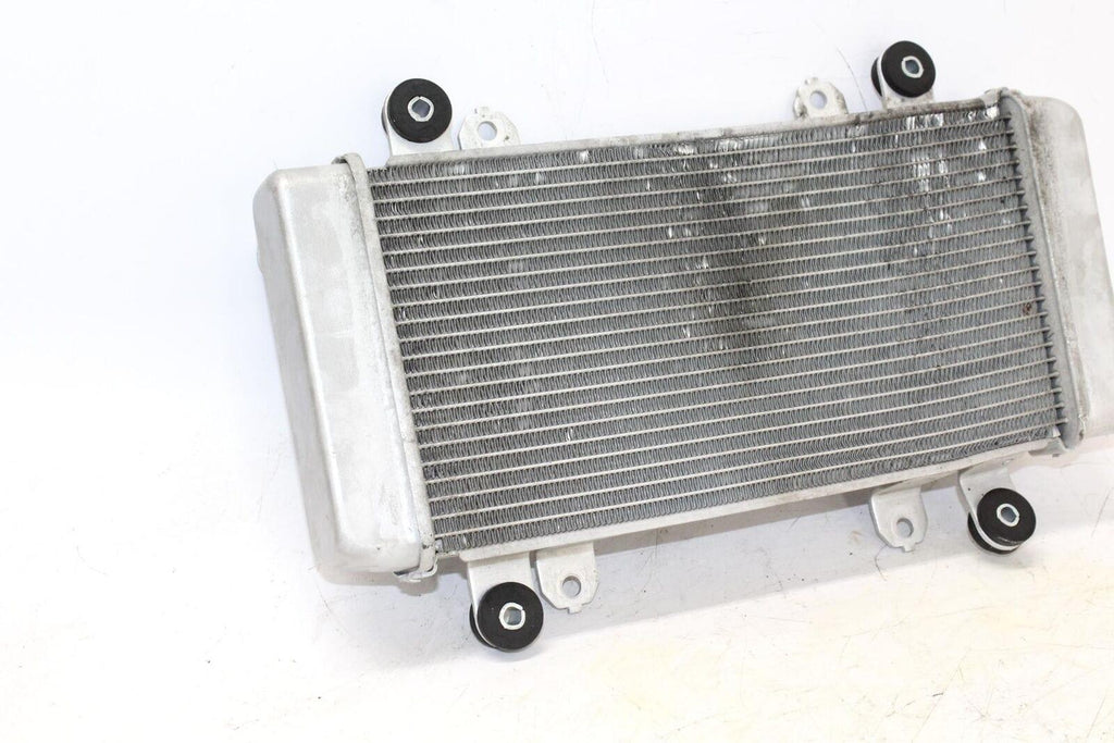 2014 Kawasaki Ninja 300 Ex300A Engine Radiator Motor Cooler Cooling Radiater - Gold River Motorsports