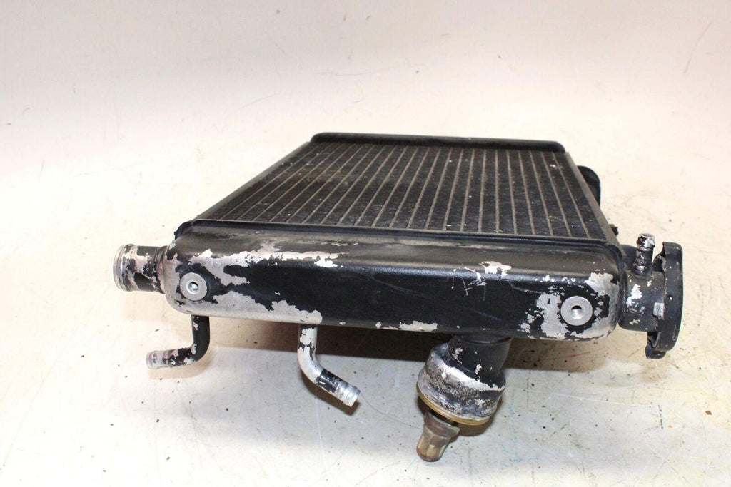 2001 Triumph Tt600 Engine Radiator Motor Cooler Cooling - Gold River Motorsports