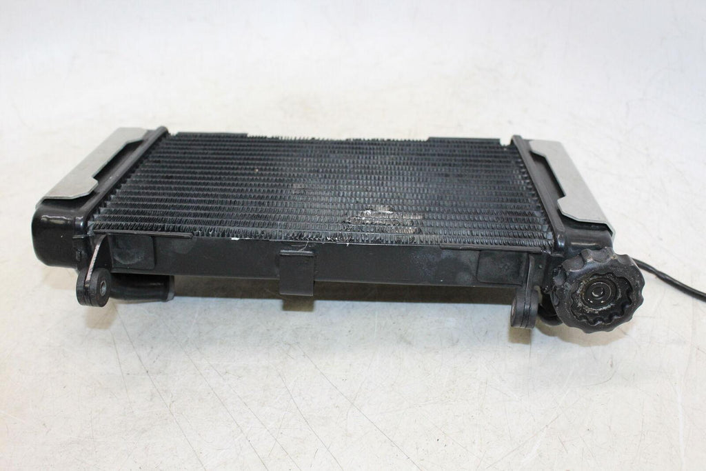 2001 Suzuki Sv650 Engine Radiator Motor Cooler Cooling Radiater