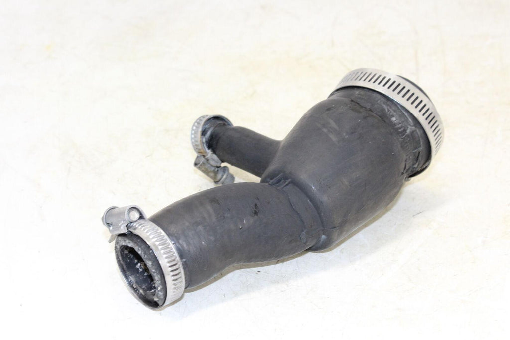 2001 Triumph Tt600 Hose - Gold River Motorsports