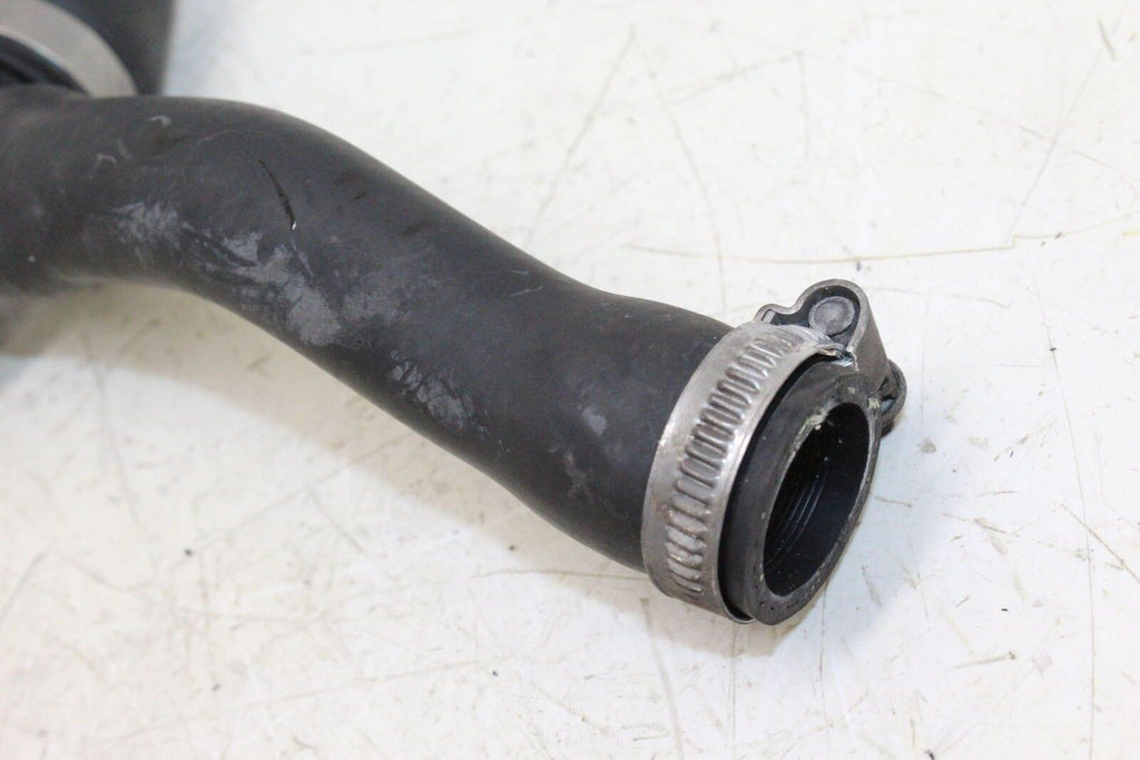 2003 Bmw K1200Rs Hose Set - Gold River Motorsports
