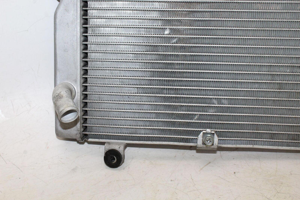 2007 Honda Silver Wing 600 Fsc600 Engine Radiator Motor Cooler Cooling Radiater - Gold River Motorsports