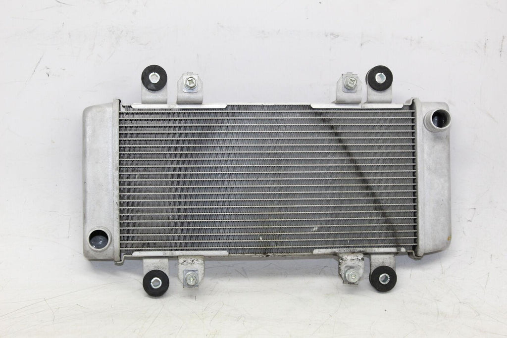 2013 Kawasaki Ninja 300 Ex300B Abs Engine Radiator Motor Cooler Cooling Radiater - Gold River Motorsports