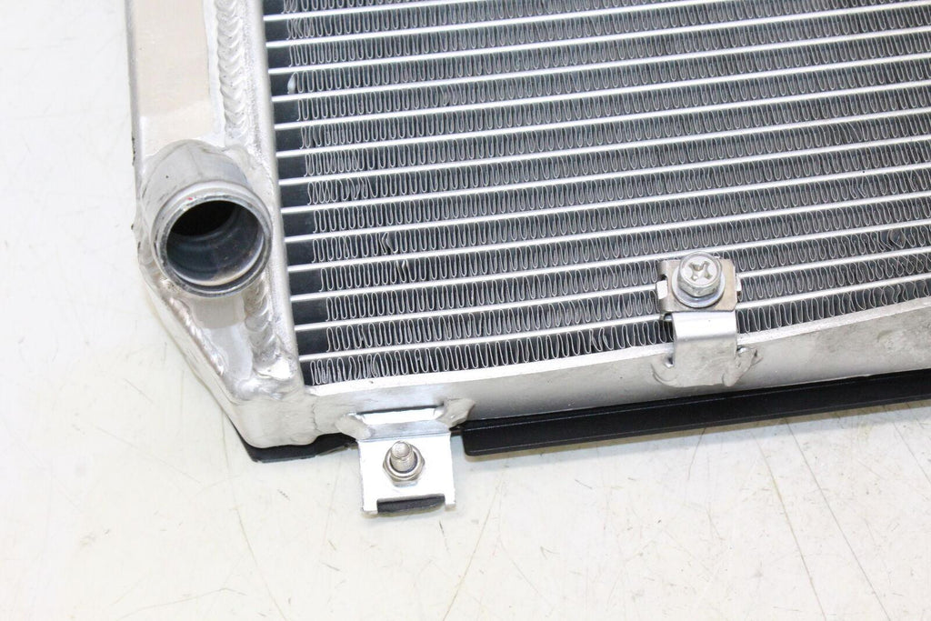 2019 Kawasaki Z900 Engine Radiator Motor Cooler Cooling Radiater - Gold River Motorsports