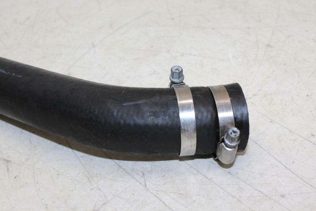 2000 Honda Cbr600F4 Hose - Gold River Motorsports