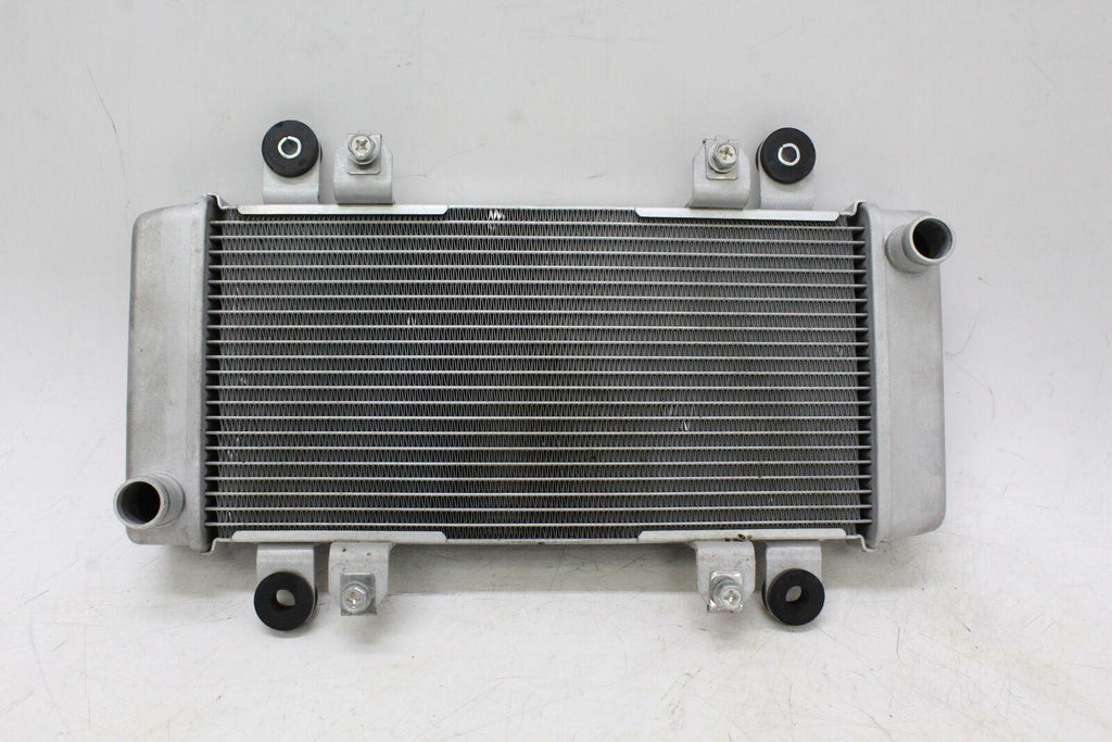 2013 Kawasaki Ninja 300 Ex300A Engine Radiator Motor Cooler Cooling Radiater - Gold River Motorsports