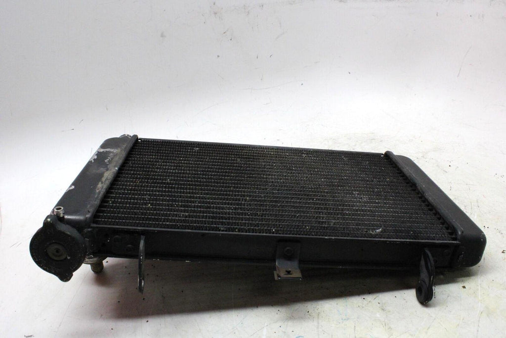 2001 Triumph Tt600 Engine Radiator Motor Cooler Cooling - Gold River Motorsports