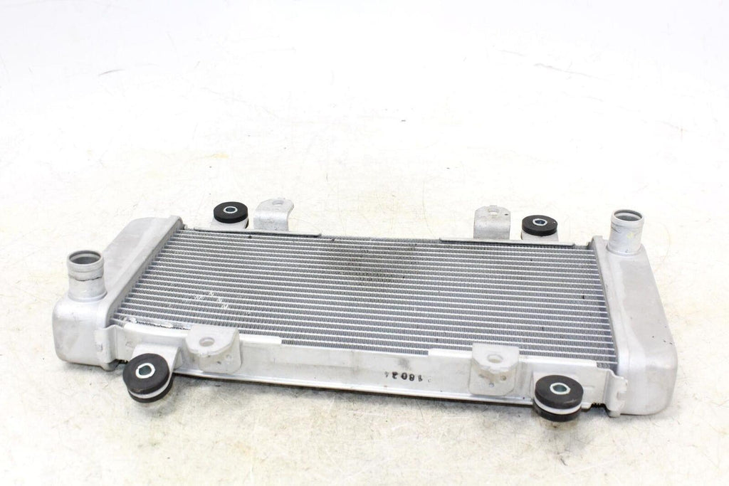 2014 Kawasaki Ninja 300 Ex300A Engine Radiator Motor Cooler Cooling Radiater - Gold River Motorsports
