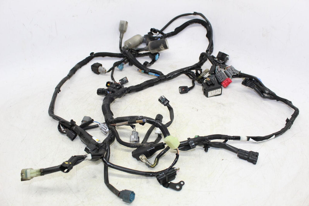 2020 Kawasaki Z650 Er650 Main Engine Wiring Harness Motor Wire Loom - Gold River Motorsports