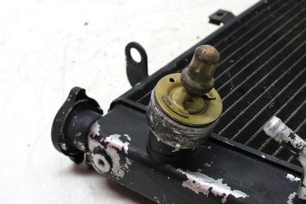 2001 Triumph Tt600 Engine Radiator Motor Cooler Cooling - Gold River Motorsports