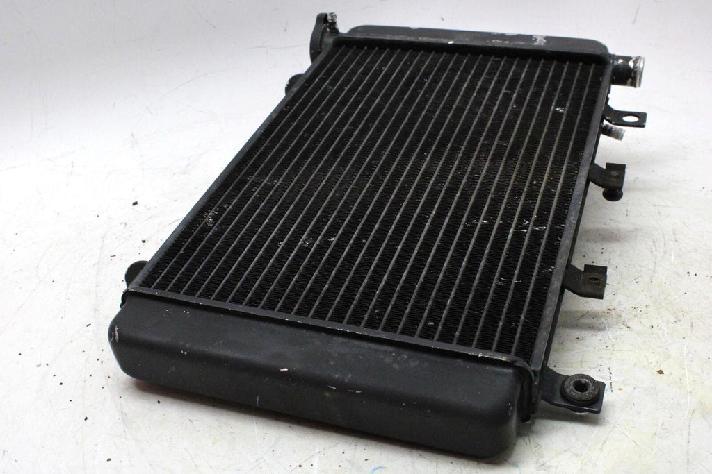 2001 Triumph Tt600 Engine Radiator Motor Cooler Cooling - Gold River Motorsports