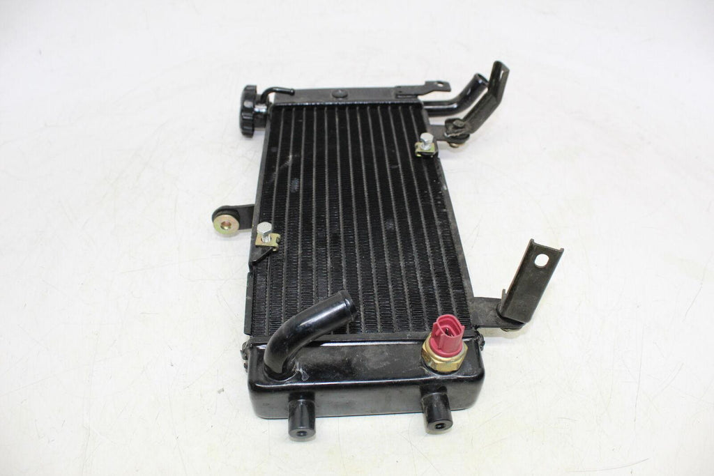 2017 Hyosung Gd250R Engine Radiator Motor Cooler Cooling Radiater - Gold River Motorsports