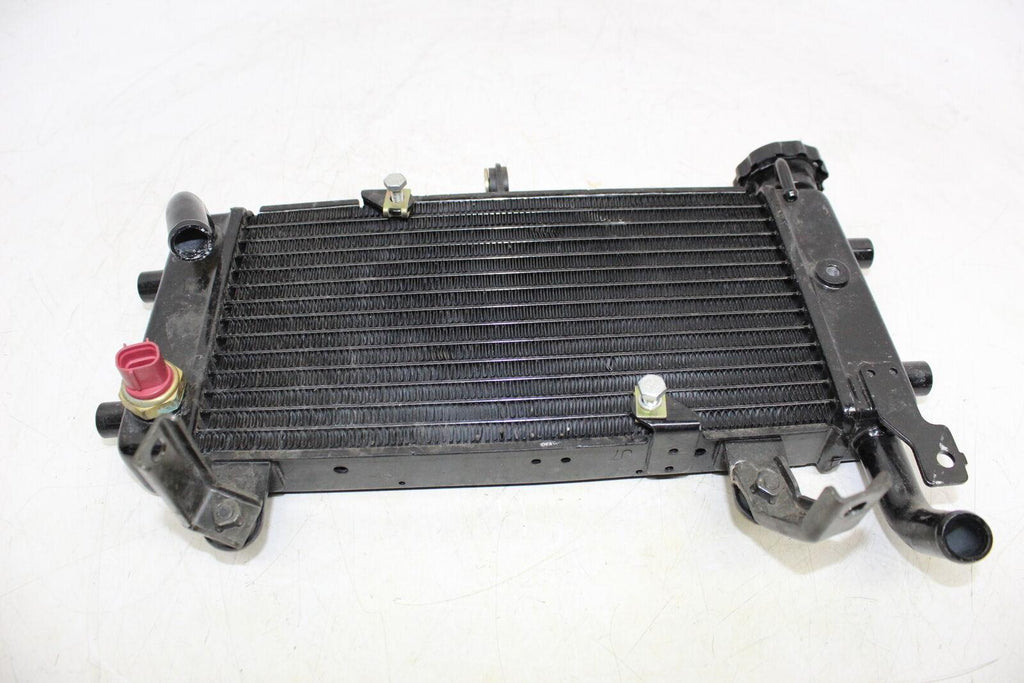 2017 Hyosung Gd250R Engine Radiator Motor Cooler Cooling Radiater - Gold River Motorsports