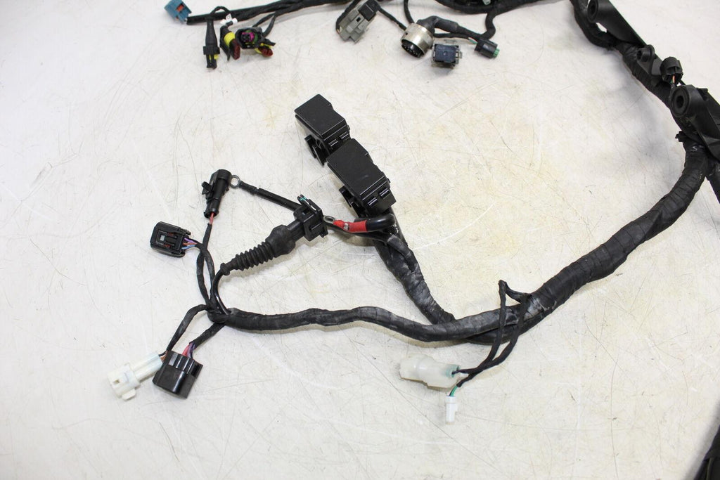 2015 Ducati 899 Panigale Main Engine Wiring Harness Motor Wire Loom - Gold River Motorsports