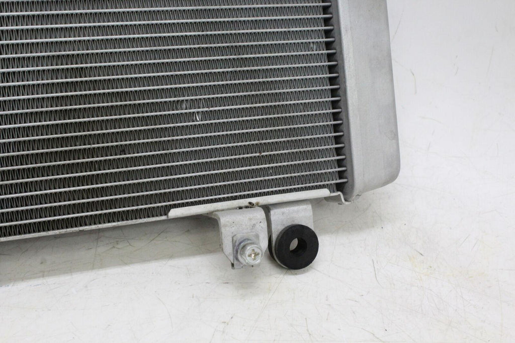 2013 Kawasaki Ninja 300 Ex300A Engine Radiator Motor Cooler Cooling Radiater - Gold River Motorsports