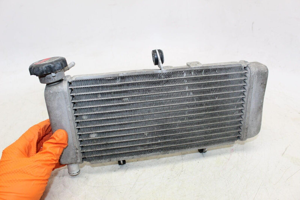 2015 Honda Cb300F Engine Radiator Motor Cooler Cooling Radiater - Gold River Motorsports