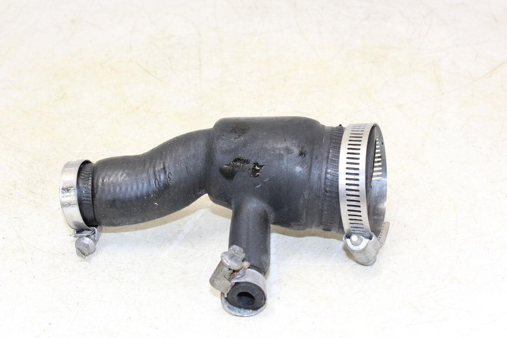 2001 Triumph Tt600 Hose - Gold River Motorsports