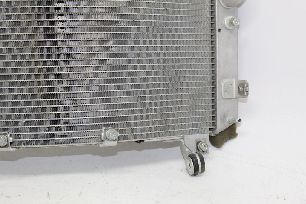 2012 Yamaha Yzf R1 World Gp 50Th Anniversary Engine Radiator Motor Cooler - Gold River Motorsports