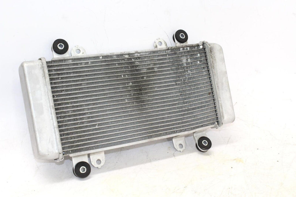2014 Kawasaki Ninja 300 Ex300A Engine Radiator Motor Cooler Cooling Radiater - Gold River Motorsports