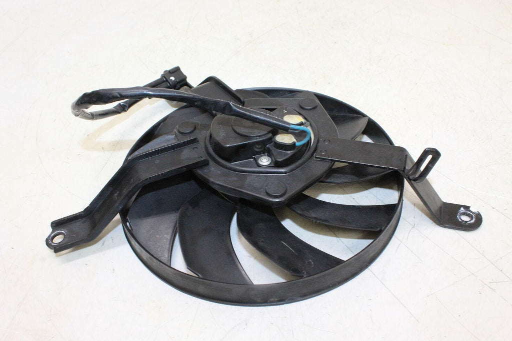 2019 Kawasaki Z900 Engine Radiator Cooling Fan - Gold River Motorsports