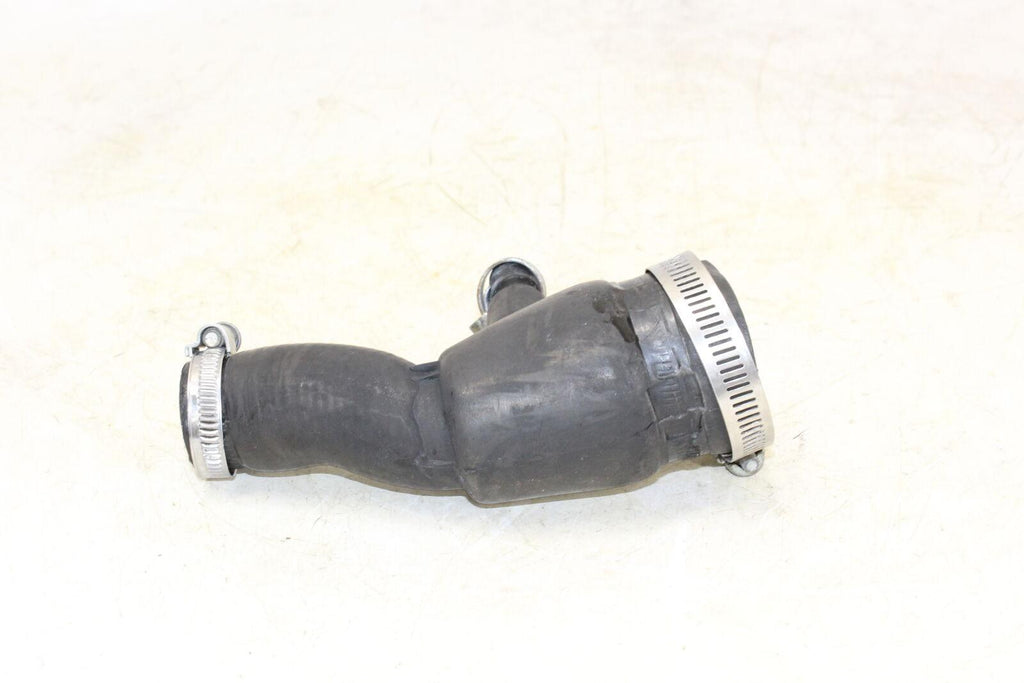 2001 Triumph Tt600 Hose - Gold River Motorsports
