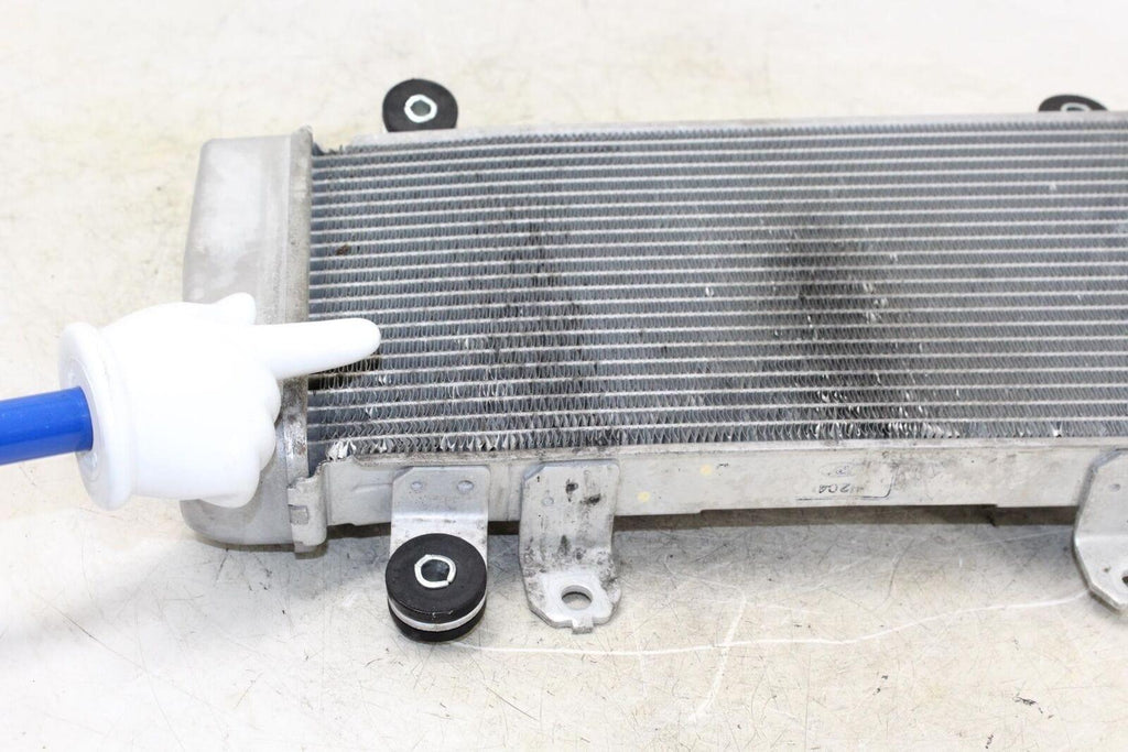 2014 Kawasaki Ninja 300 Ex300A Engine Radiator Motor Cooler Cooling Radiater - Gold River Motorsports