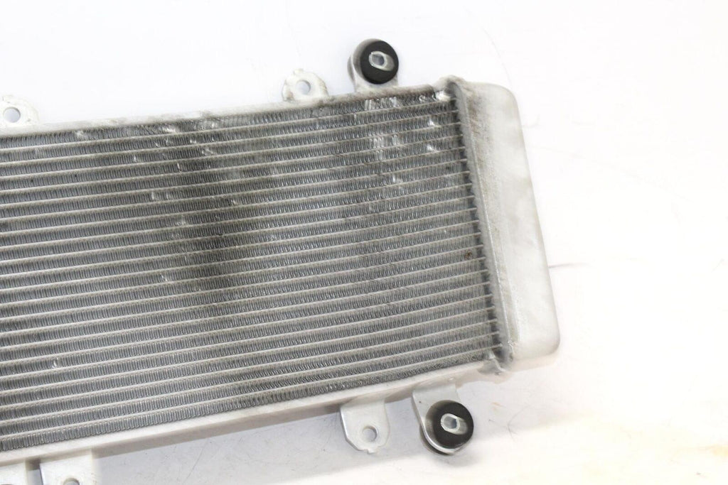 2014 Kawasaki Ninja 300 Ex300A Engine Radiator Motor Cooler Cooling Radiater - Gold River Motorsports