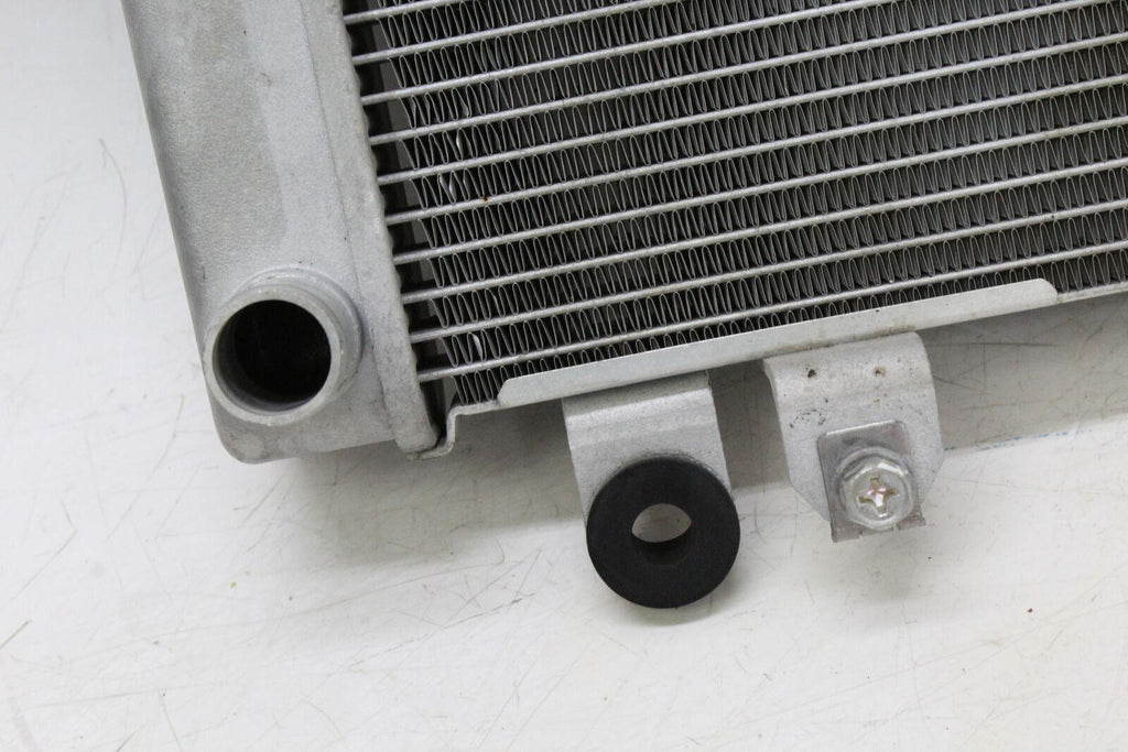 2013 Kawasaki Ninja 300 Ex300A Engine Radiator Motor Cooler Cooling Radiater - Gold River Motorsports