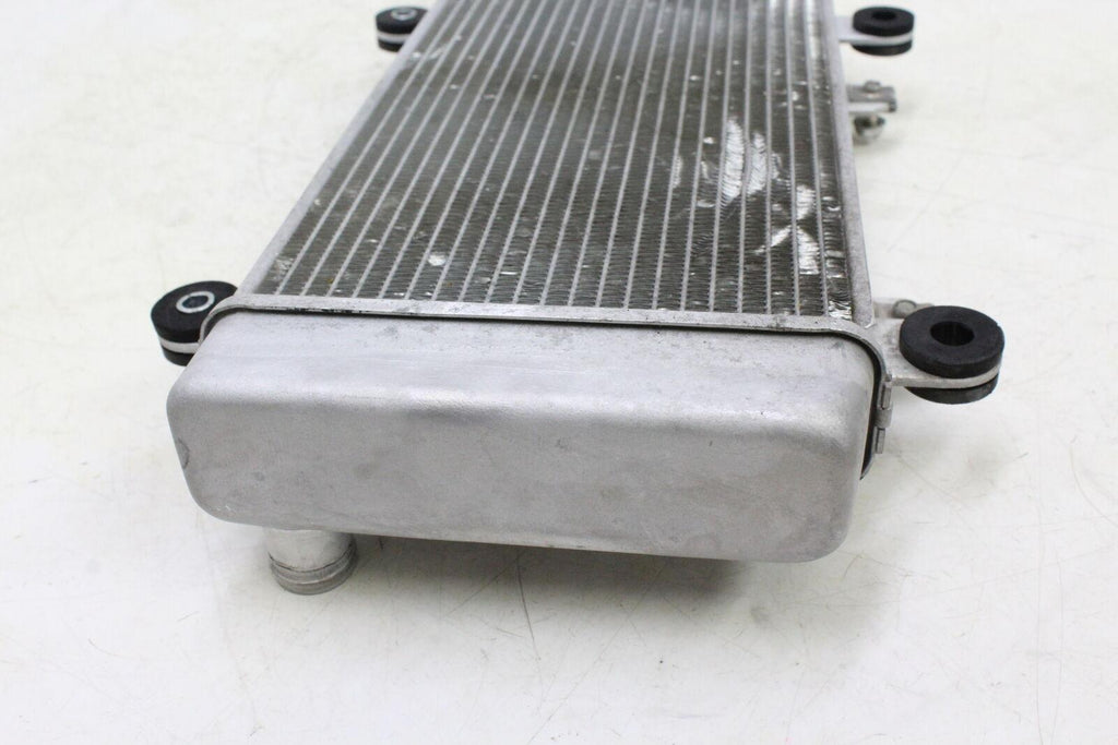 2013 Kawasaki Ninja 300 Ex300A Engine Radiator Motor Cooler Cooling Radiater - Gold River Motorsports